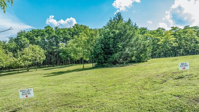 0 Guy Ferrell Rd, Franklin, TN 37064 - photo 13