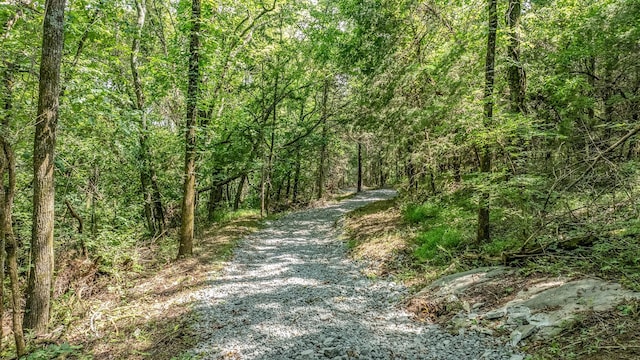 0 Guy Ferrell Rd, Franklin, TN 37064 - photo 9