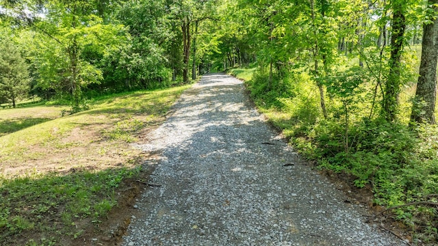 0 Guy Ferrell Rd, Franklin, TN 37064 - photo 35