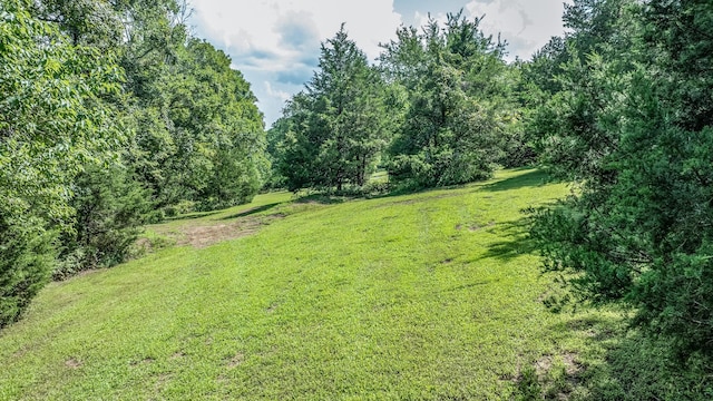 0 Guy Ferrell Rd, Franklin, TN 37064 - photo 10