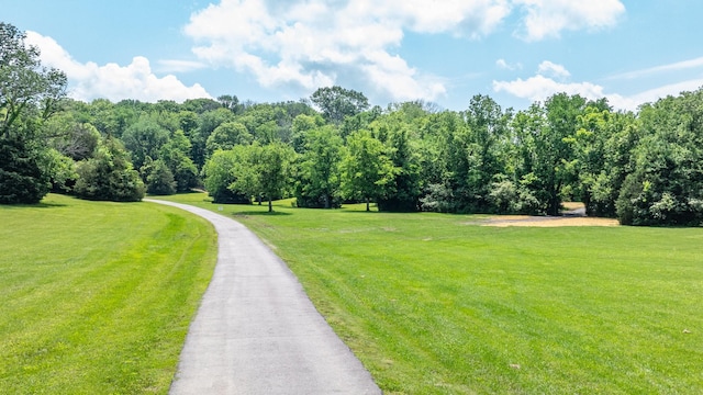 0 Guy Ferrell Rd, Franklin, TN 37064 - photo 38