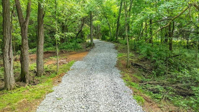 0 Guy Ferrell Rd, Franklin, TN 37064 - photo 33