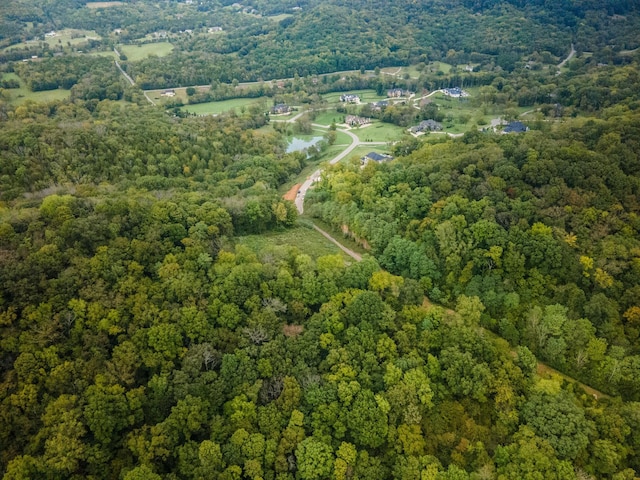 1015 Cartwright Close Dr, Brentwood, TN 37027 - photo 11