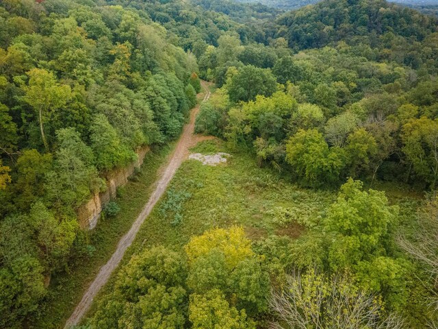 1015 Cartwright Close Dr, Brentwood, TN 37027 - photo 3