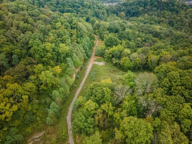 1015 Cartwright Close Dr, Brentwood, TN 37027 - photo 6
