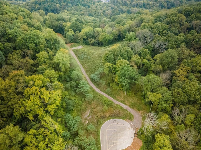 1015 Cartwright Close Dr, Brentwood, TN 37027 - photo 4