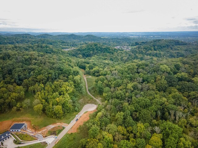1015 Cartwright Close Dr, Brentwood, TN 37027 - photo 19