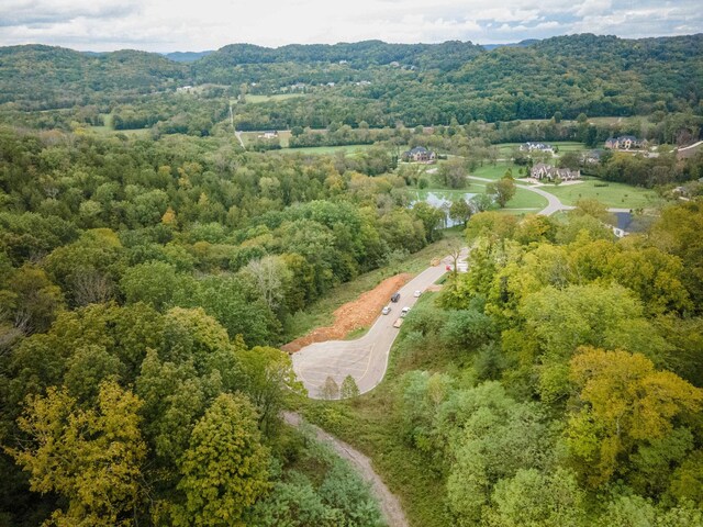 1015 Cartwright Close Dr, Brentwood, TN 37027 - photo 18