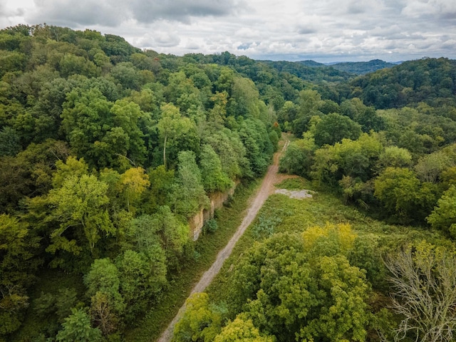 1015 Cartwright Close Dr, Brentwood, TN 37027 - photo 2
