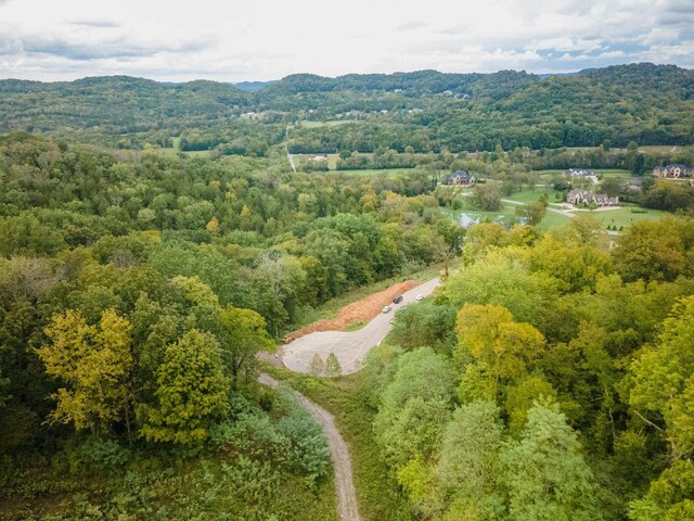 1015 Cartwright Close Dr, Brentwood, TN 37027 - photo 17