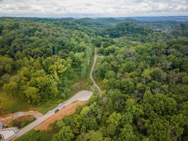 1015 Cartwright Close Dr, Brentwood, TN 37027 - photo 9