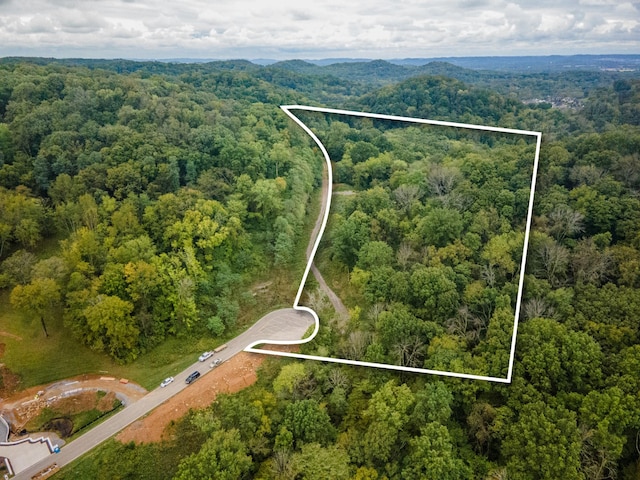 1015 Cartwright Close Dr, Brentwood, TN 37027 - photo 1