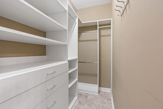 245 Northcrest Commons Cir, Nashville, TN 37211 - view of spacious closet