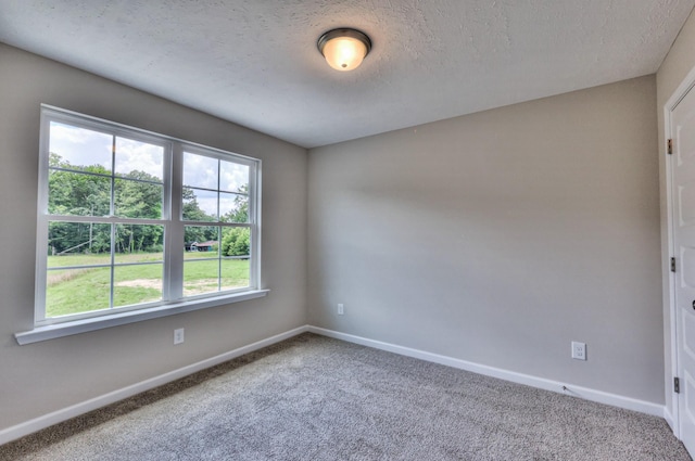207 Blanford Cir, Manchester, TN 37355 - photo 25