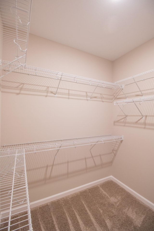 67 Wofford Ests, Clarksville, TN 37040 - walk in closet with carpet flooring