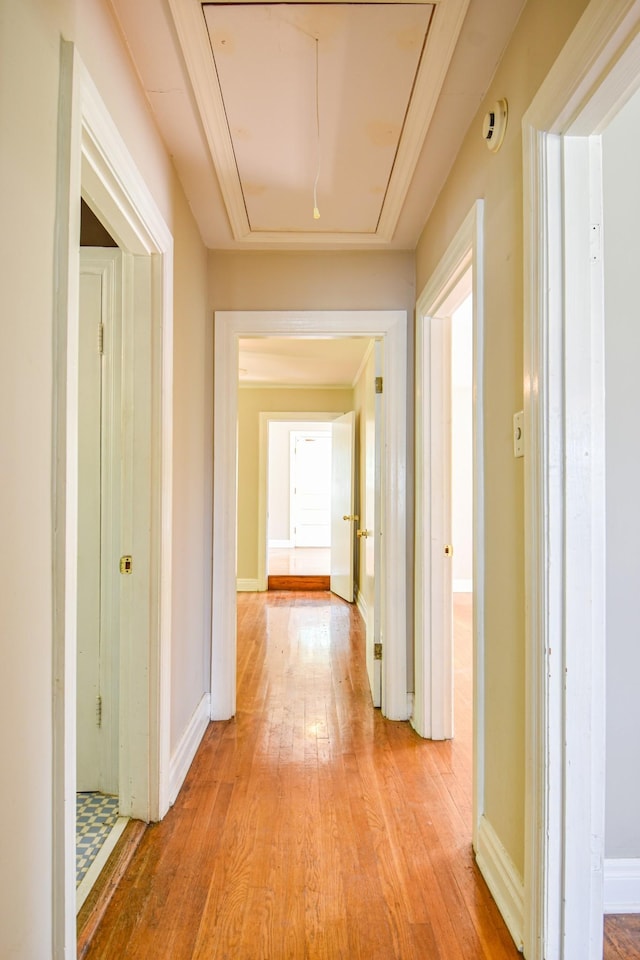 1204 Rolling Fields Dr, Columbia, TN 38401 - hall with attic access and light wood-type flooring