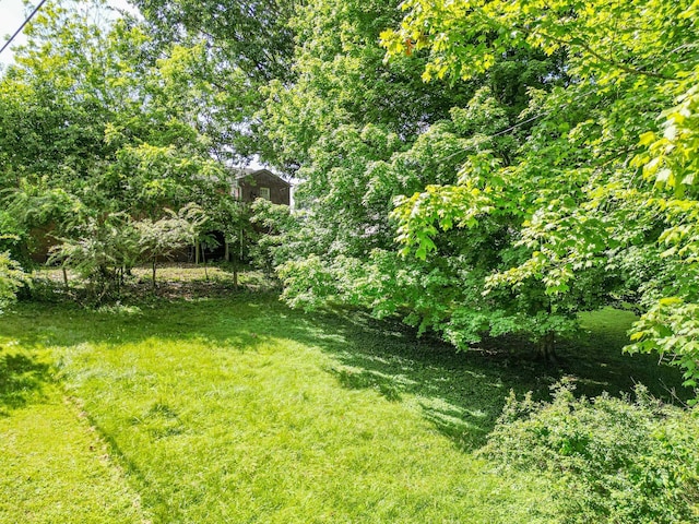 1204 Rolling Fields Dr, Columbia, TN 38401 - view of green lawn