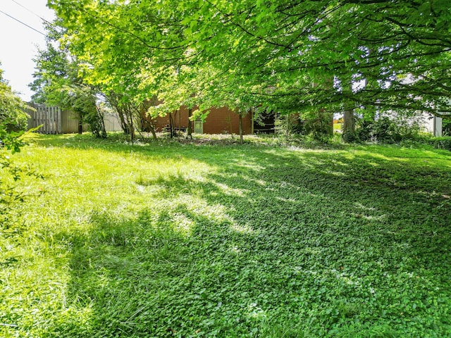 1204 Rolling Fields Dr, Columbia, TN 38401 - view of yard
