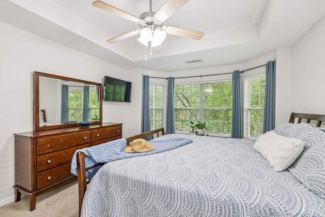 1443 Bern Dr, Spring Hill, TN 37174 - carpeted bedroom with multiple windows, a ceiling fan, and a tray ceiling