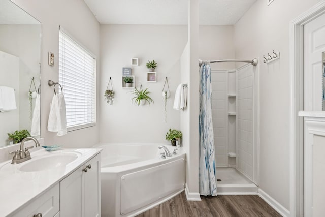 1443 Bern Dr, Spring Hill, TN 37174 - full bath with wood finished floors, healthy amount of natural light, a stall shower, and vanity
