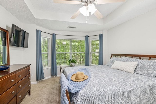 1443 Bern Dr, Spring Hill, TN 37174 - bedroom featuring multiple windows, a raised ceiling, and light colored carpet