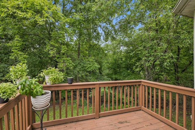 1443 Bern Dr, Spring Hill, TN 37174 - view of wooden terrace