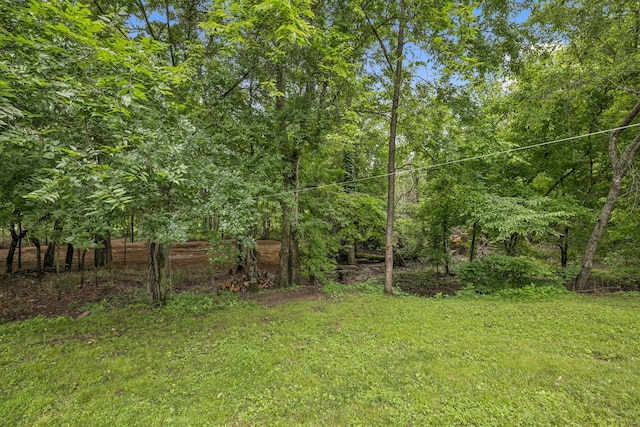 1443 Bern Dr, Spring Hill, TN 37174 - view of green lawn