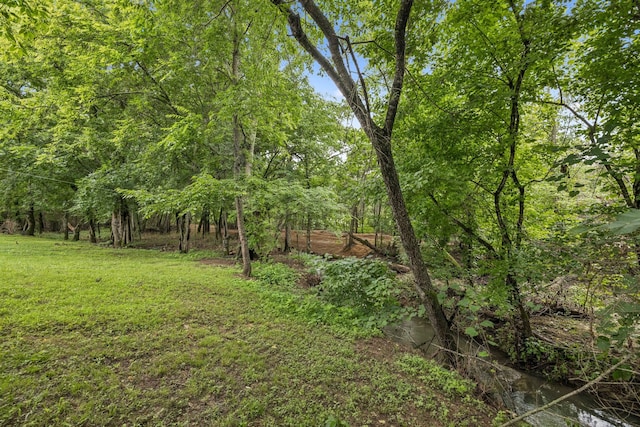 1443 Bern Dr, Spring Hill, TN 37174 - view of grassy yard
