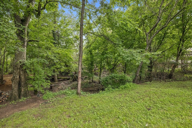 1443 Bern Dr, Spring Hill, TN 37174 - view of green lawn