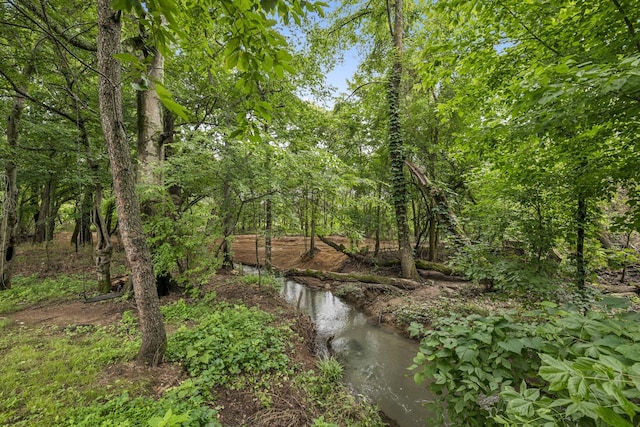 1443 Bern Dr, Spring Hill, TN 37174 - water view