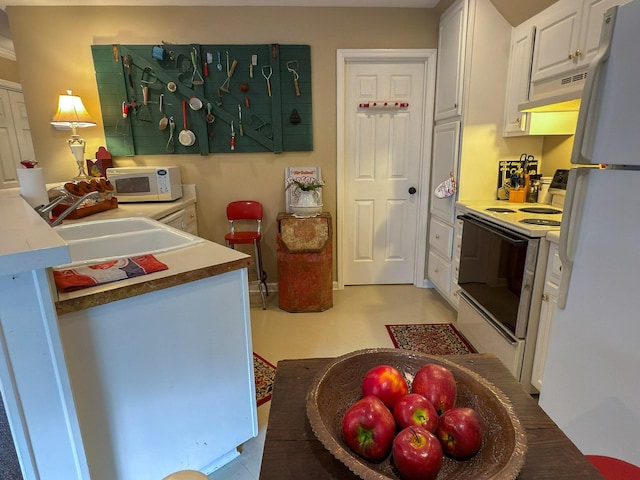 4929 Snow Creek Rd, Santa Fe, TN 38482 - kitchen with white appliances, under cabinet range hood, and white cabinets