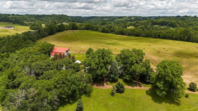 4929 Snow Creek Rd, Santa Fe, TN 38482 - drone / aerial view