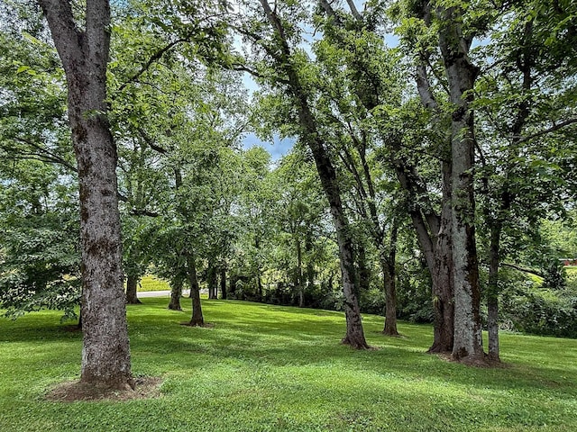 4929 Snow Creek Rd, Santa Fe, TN 38482 - view of green lawn