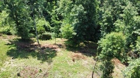 5083 Carlene Jones Rd, Westmoreland, TN 37186 - photo 53