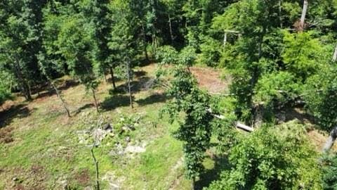 5083 Carlene Jones Rd, Westmoreland, TN 37186 - photo 51