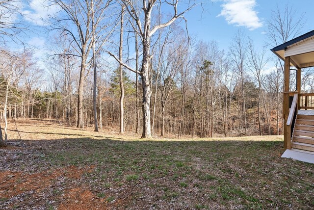 2331 Davidson Graveyard Rd, Clarksville, TN 37043 - photo 31