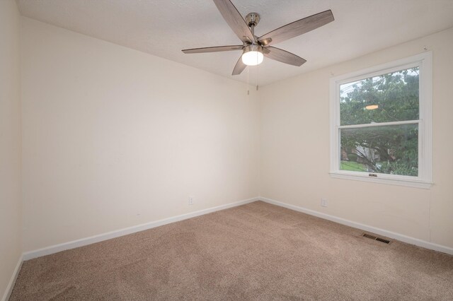 3548 Seneca Forest Dr, Nashville, TN 37217 - photo 20