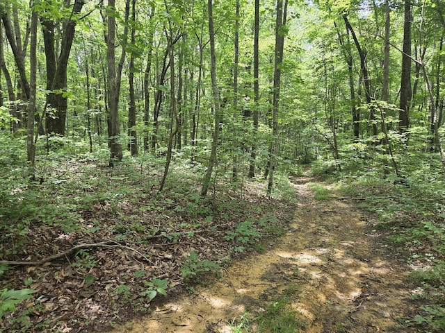 0 Blumont Dr, Altamont, TN 37301