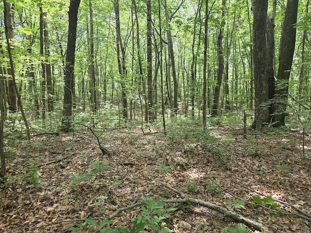 0 Blumont Dr, Altamont, TN 37301