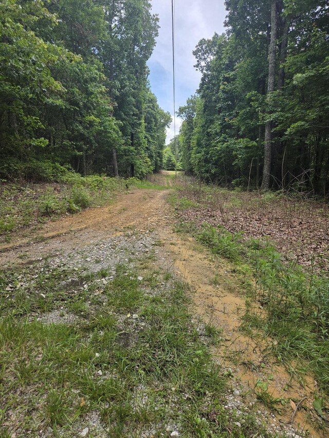 0 Blumont Dr, Altamont, TN 37301