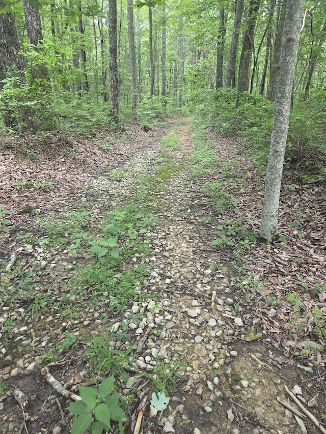 0 Blumont Dr, Altamont, TN 37301