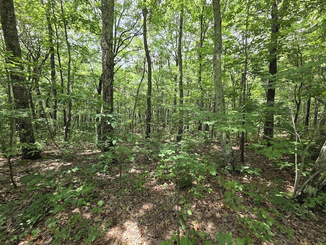 0 Blumont Dr, Altamont, TN 37301