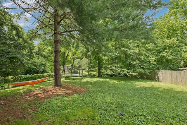 1338 Ardee Ave, Nashville, TN 37216 - view of yard with a trampoline