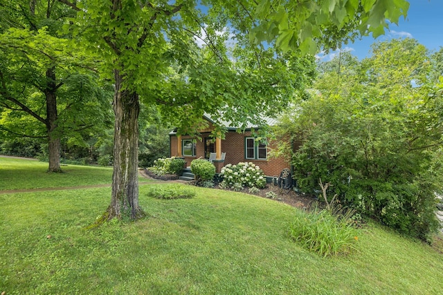 1338 Ardee Ave, Nashville, TN 37216 - view of green lawn