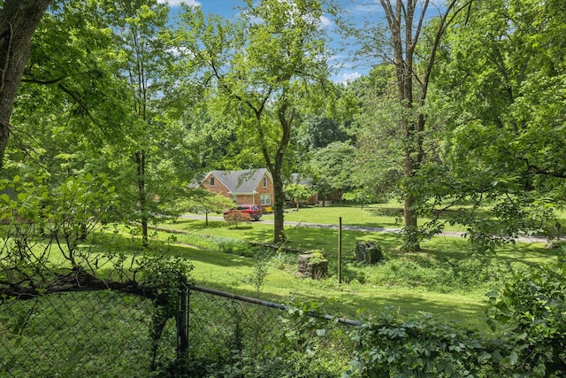 1338 Ardee Ave, Nashville, TN 37216 - view of yard