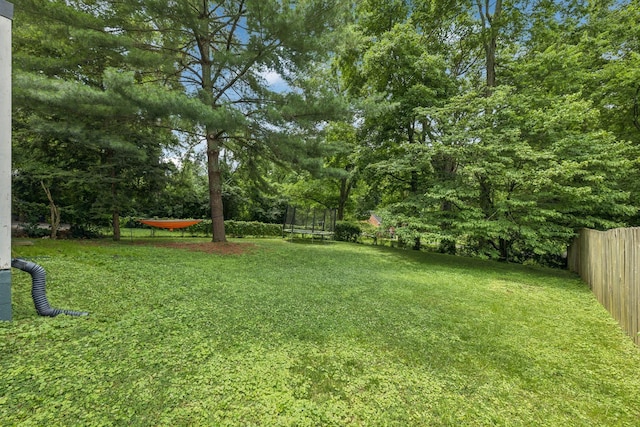 1338 Ardee Ave, Nashville, TN 37216 - view of yard featuring a trampoline