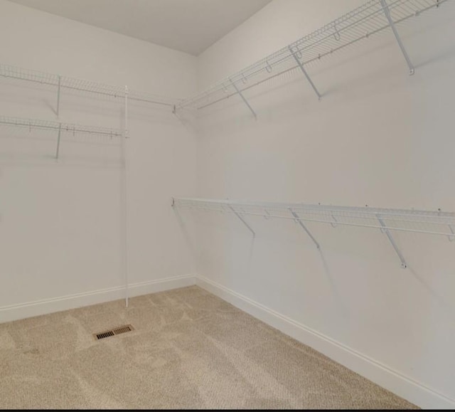 207 Walnut St, Springfield, TN 37172 - spacious closet featuring light colored carpet