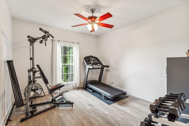 5077 Joe Peay Rd, Spring Hill, TN 37174 - workout room with wood finished floors and ceiling fan