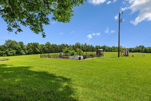 5077 Joe Peay Rd, Spring Hill, TN 37174 - view of yard featuring a storage unit