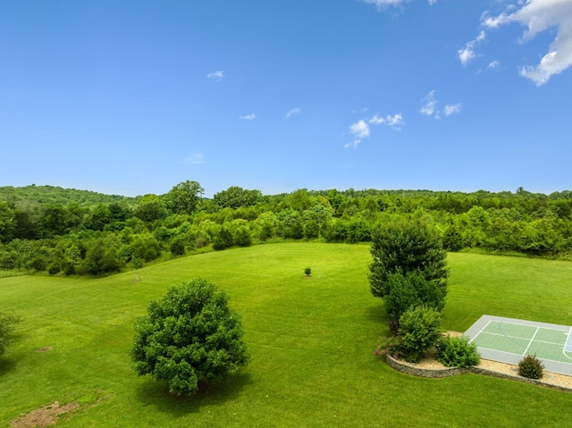 5077 Joe Peay Rd, Spring Hill, TN 37174 - view of green lawn